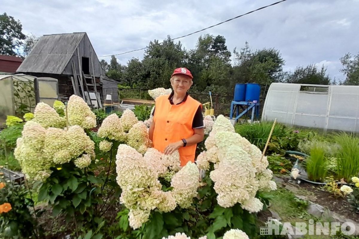 Рациональный огород Натальи Завгорудько