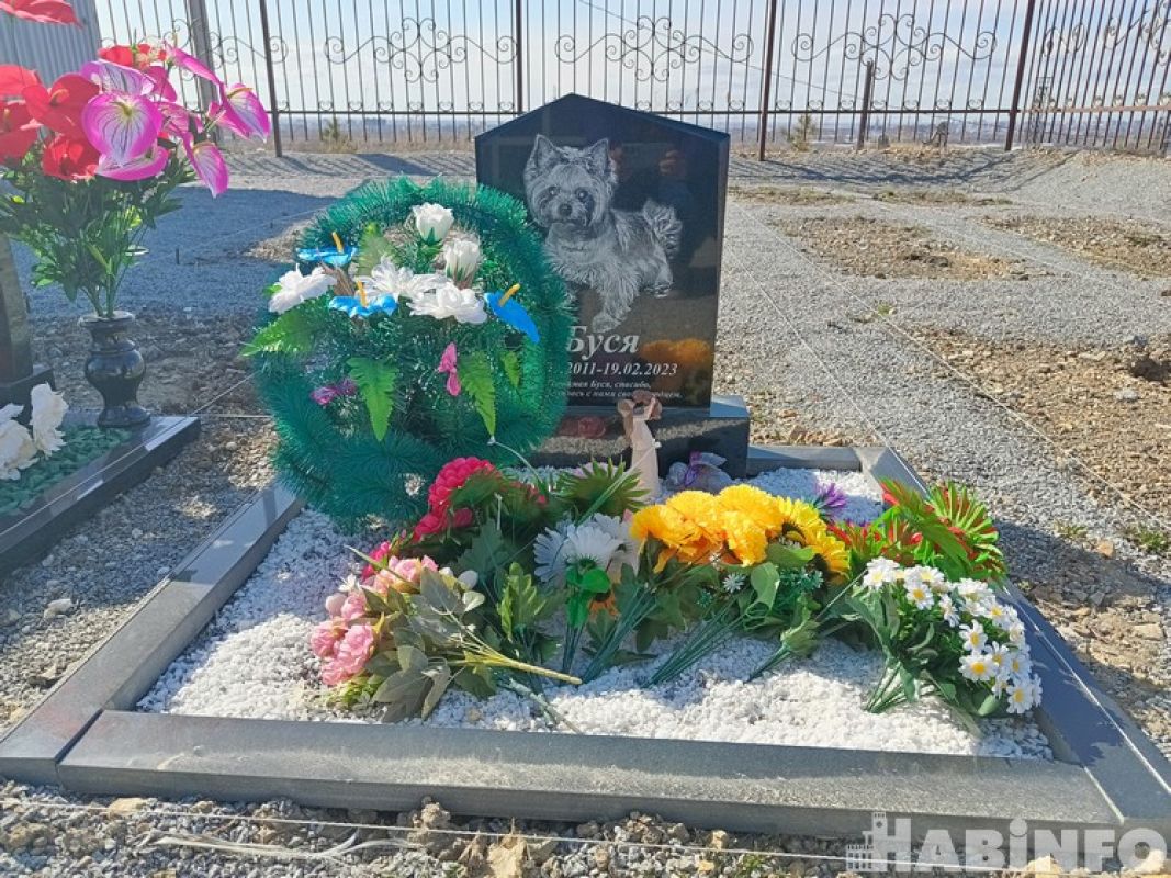 Как похоронить четвероногого друга по-человечески