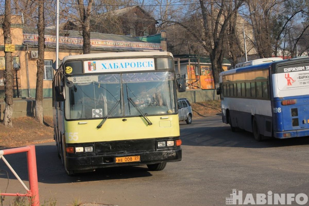 Грязное лицо и 25 зайцев: что не устраивает хабаровских перевозчиков