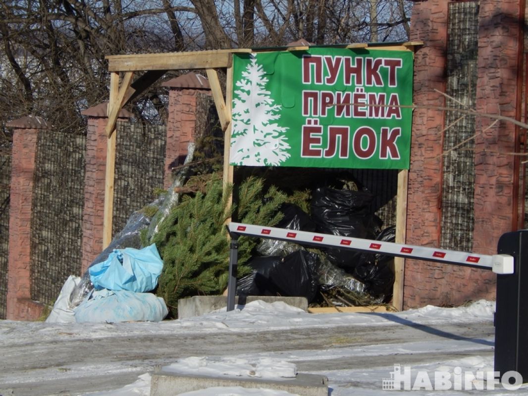 Витамины для животных: около сотни ёлок передали в Зоосад