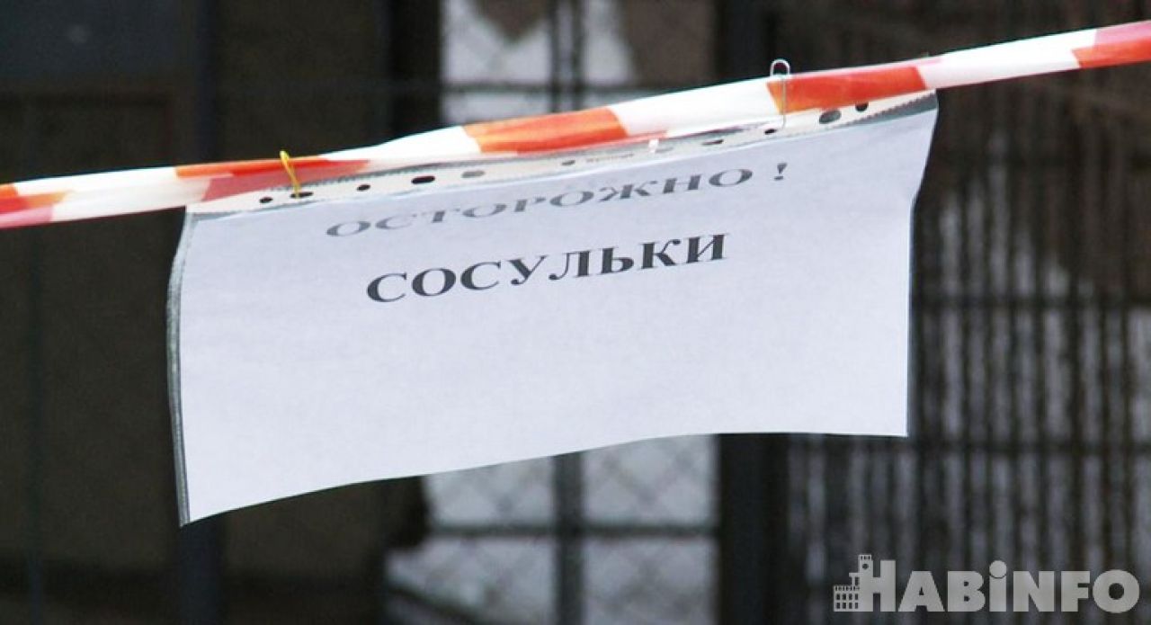 Автомобили под окнами, свалки и сухостой: будут ли местные чиновники соблюдать новые правила благоустройства