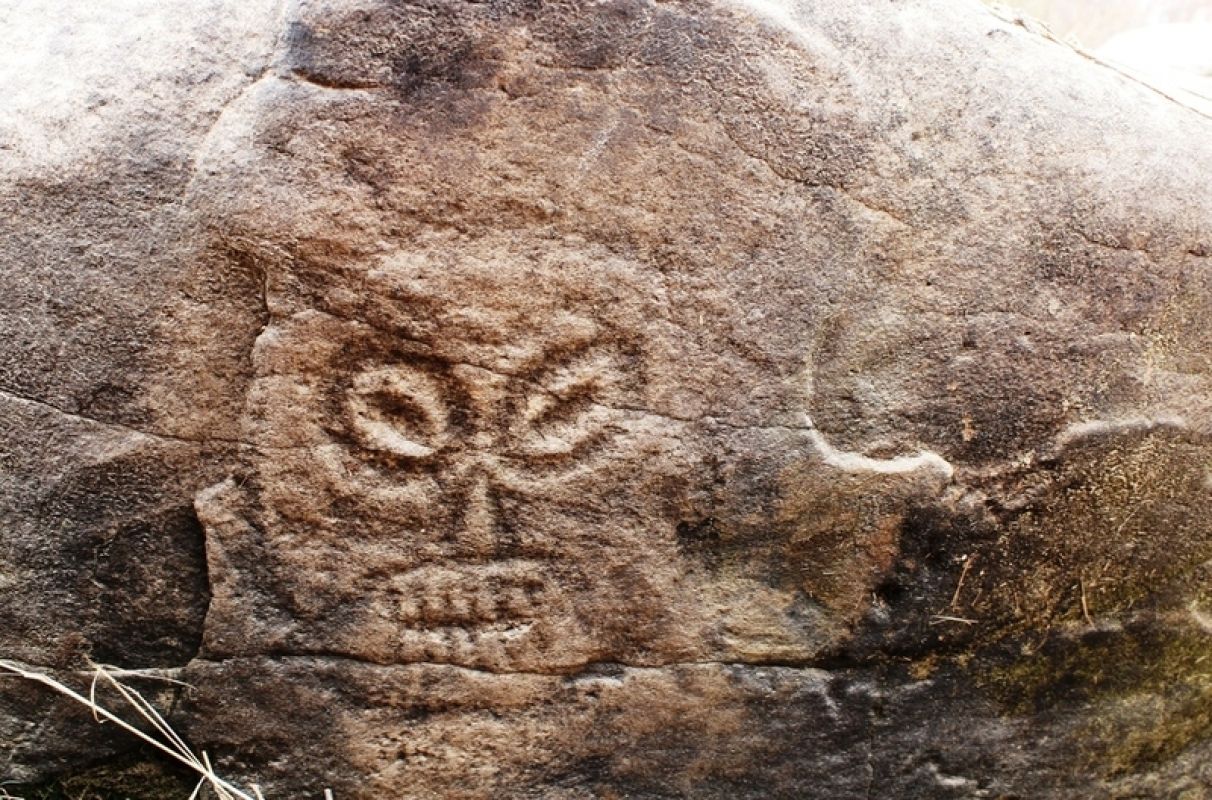 Динозавры, петроглифы, чжурчжэни: зачем школьникам история Дальнего Востока