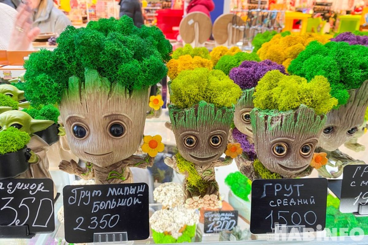 Какие подарки и за сколько предлагают купить хабаровчанам в торговых центрах
