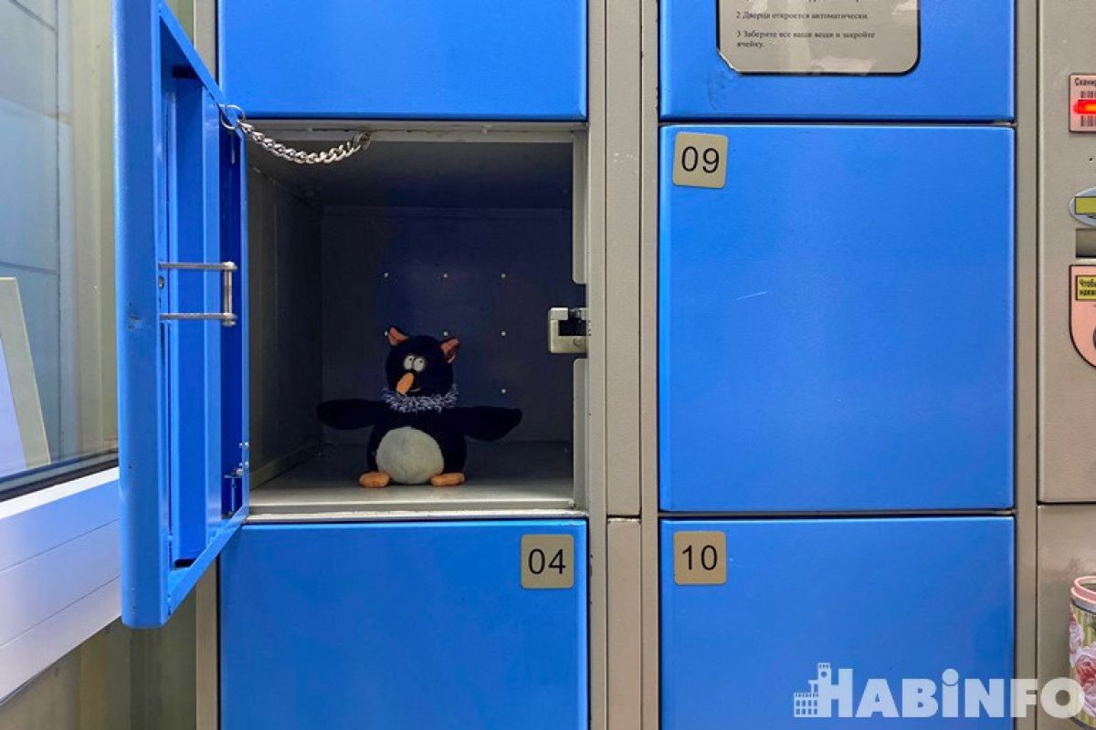 Камера хранения в магазине: обязанность для покупателя или нет?