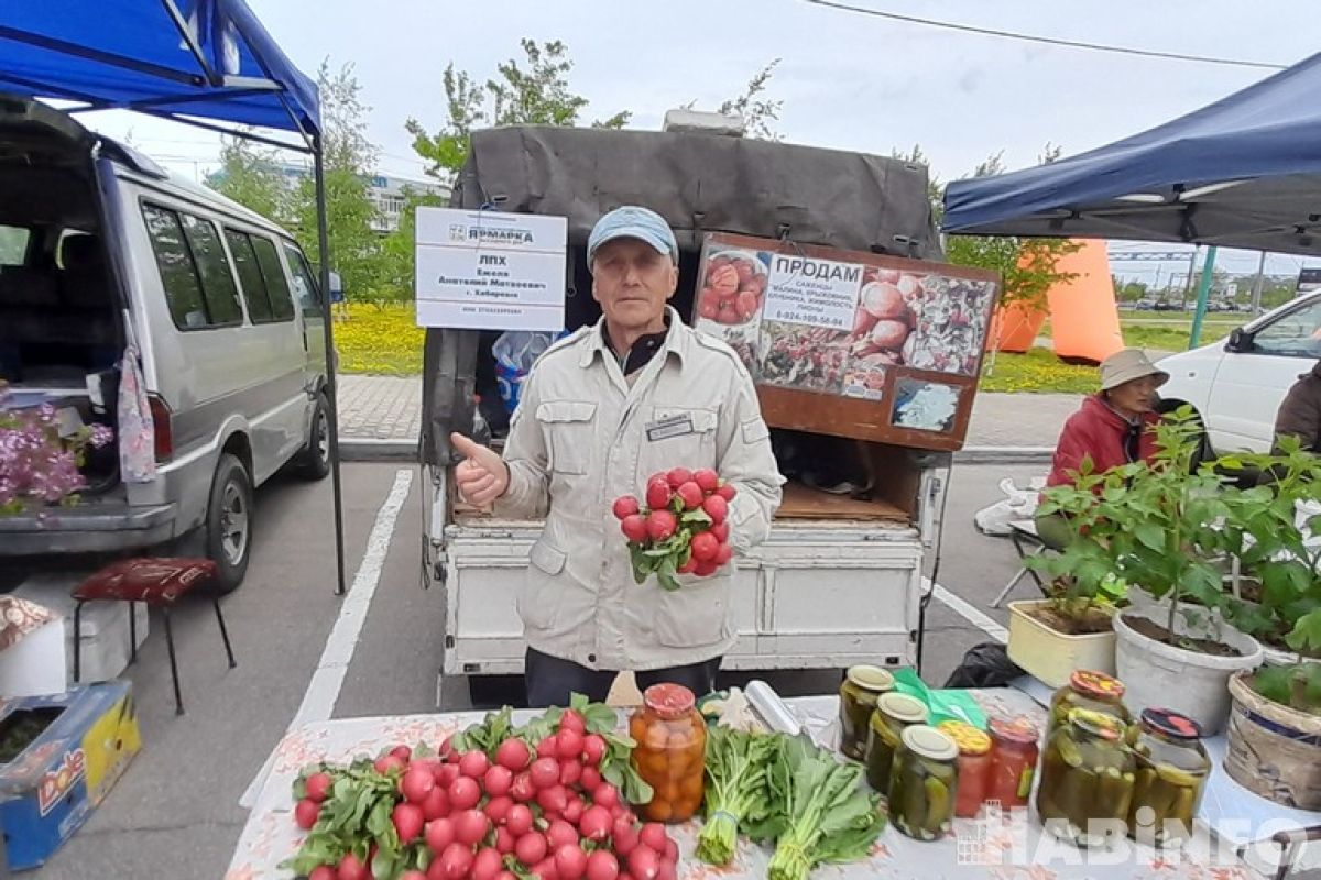 Что купить на ярмарке выходного дня