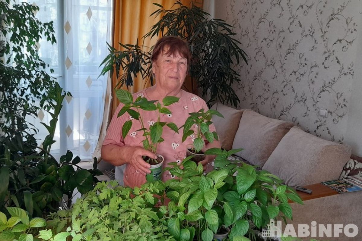 Дачная история Эльвиры Косицыной