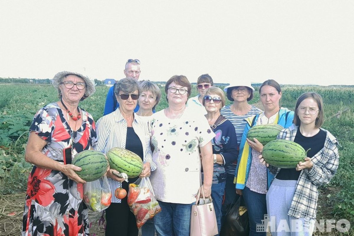 Проверить на выживание - «сухой закон» для овощей