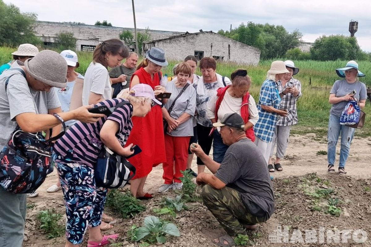Летняя практика: экскурсии в картофельные поля и клубничные теплицы