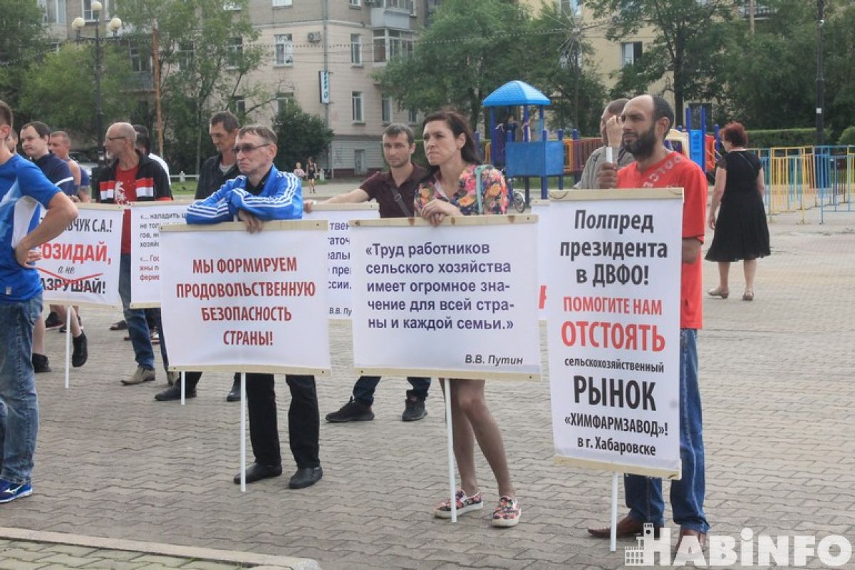 «Рассада зла»: кому мешает дачный рынок в Хабаровске