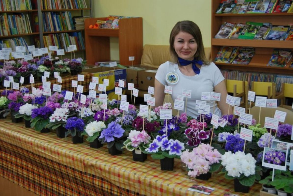 Елена Хад: очень люблю эти нежные комнатные цветы - фиалки