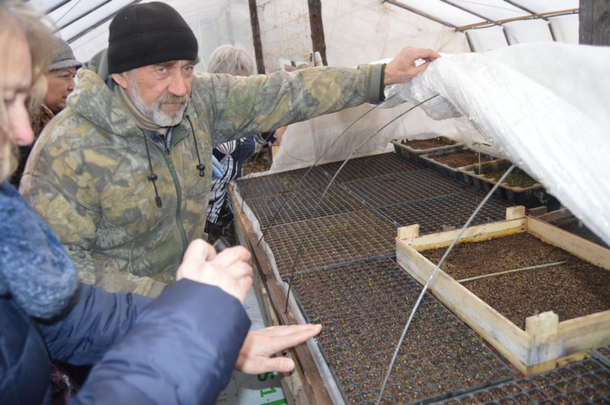 Саженцы из пробирки и другие инновации