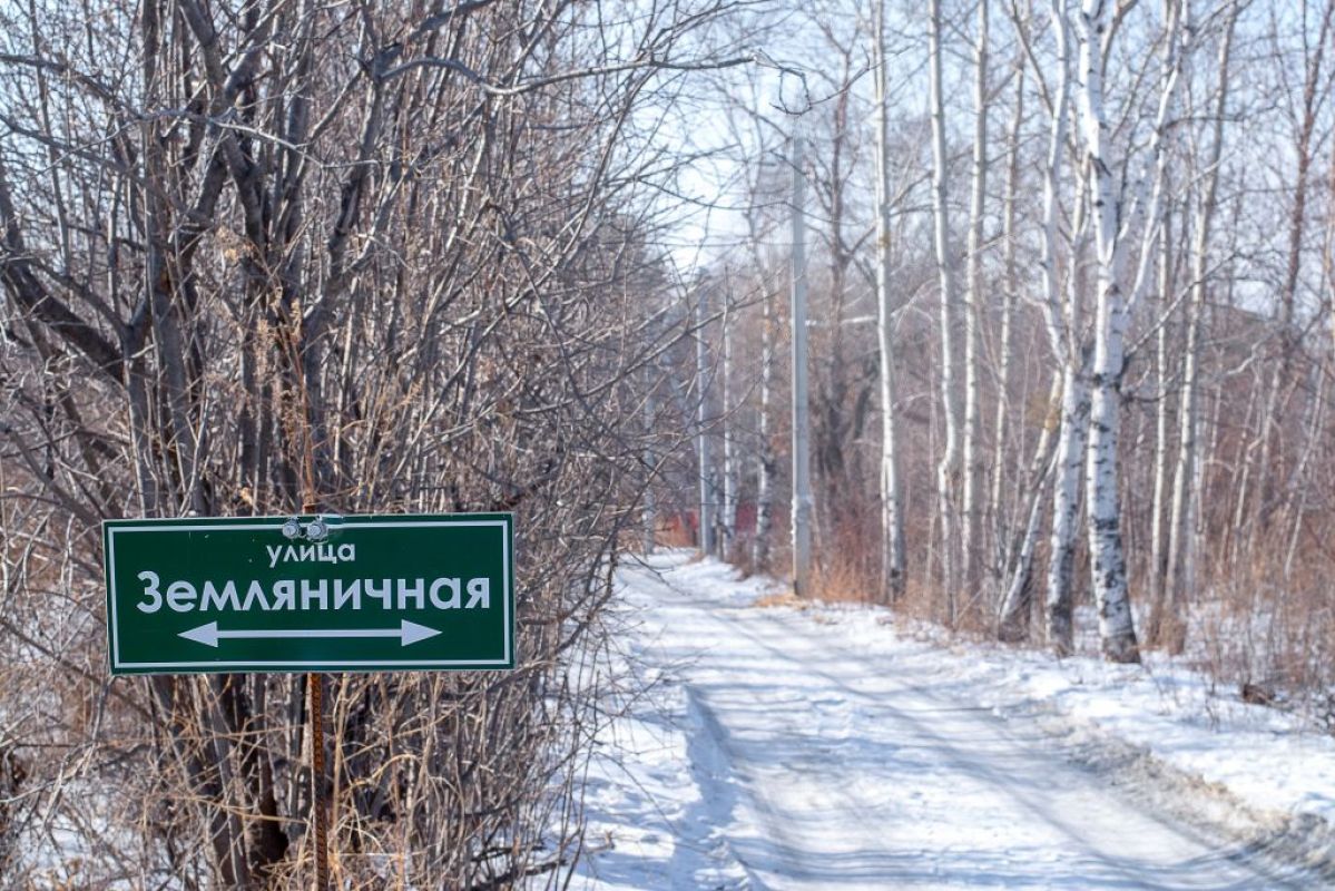 Ремонт дачных дорог с господдержкой