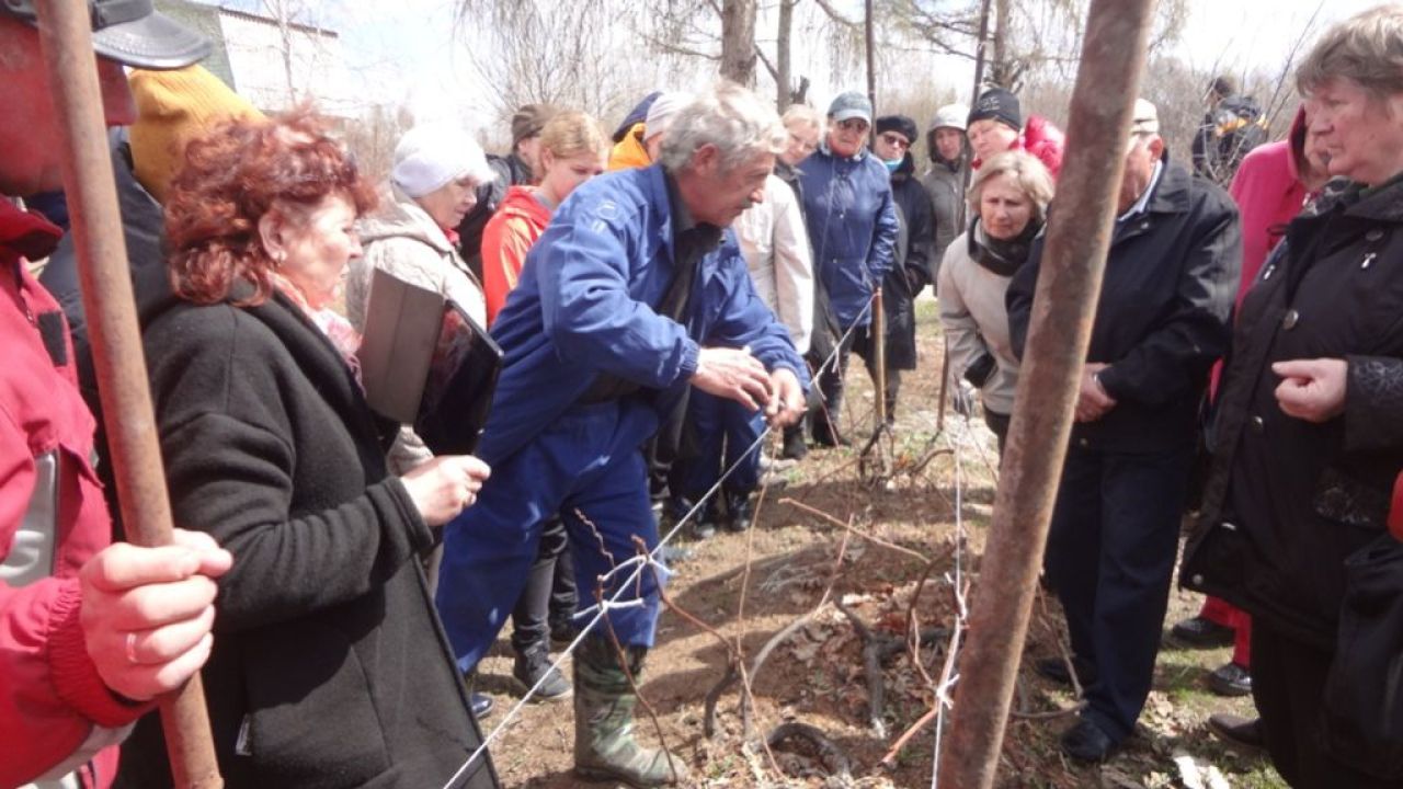 Начались практические занятия у сортоиспытателя Сергея Чудопалова