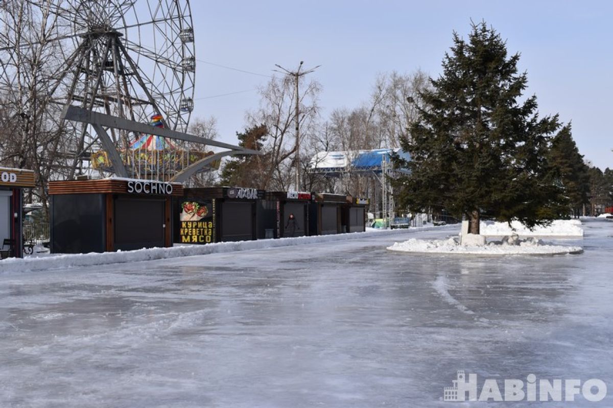 Вновь всех на лёд зима зовёт 