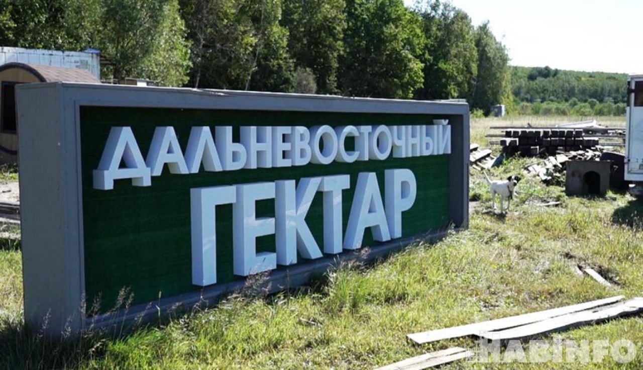 Дальневосточный гектар: дикие звери мешают развитию фермерства